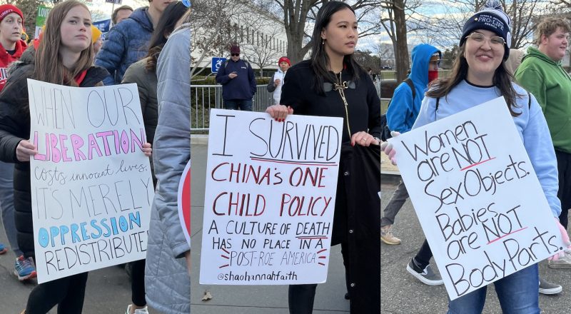 Three of the March for Life Signs in the post