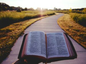 Bible and path