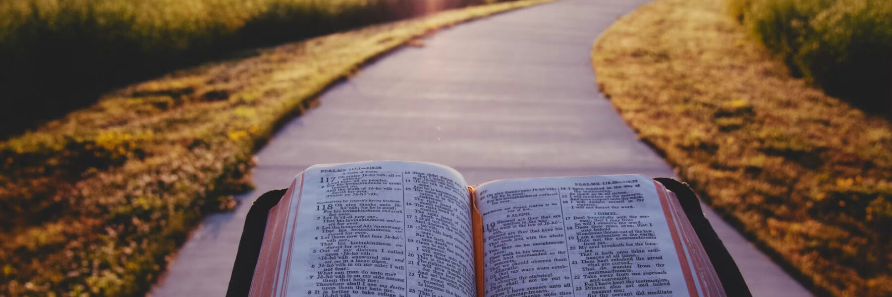 Bible and path