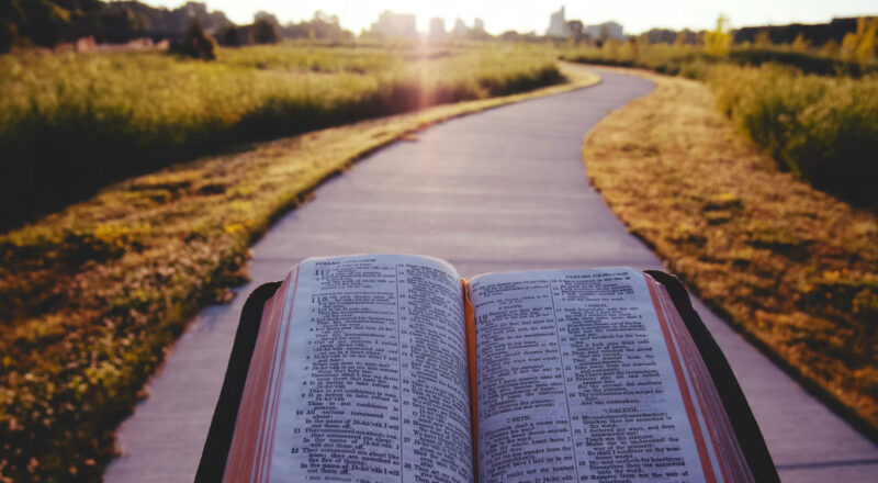 Bible and path